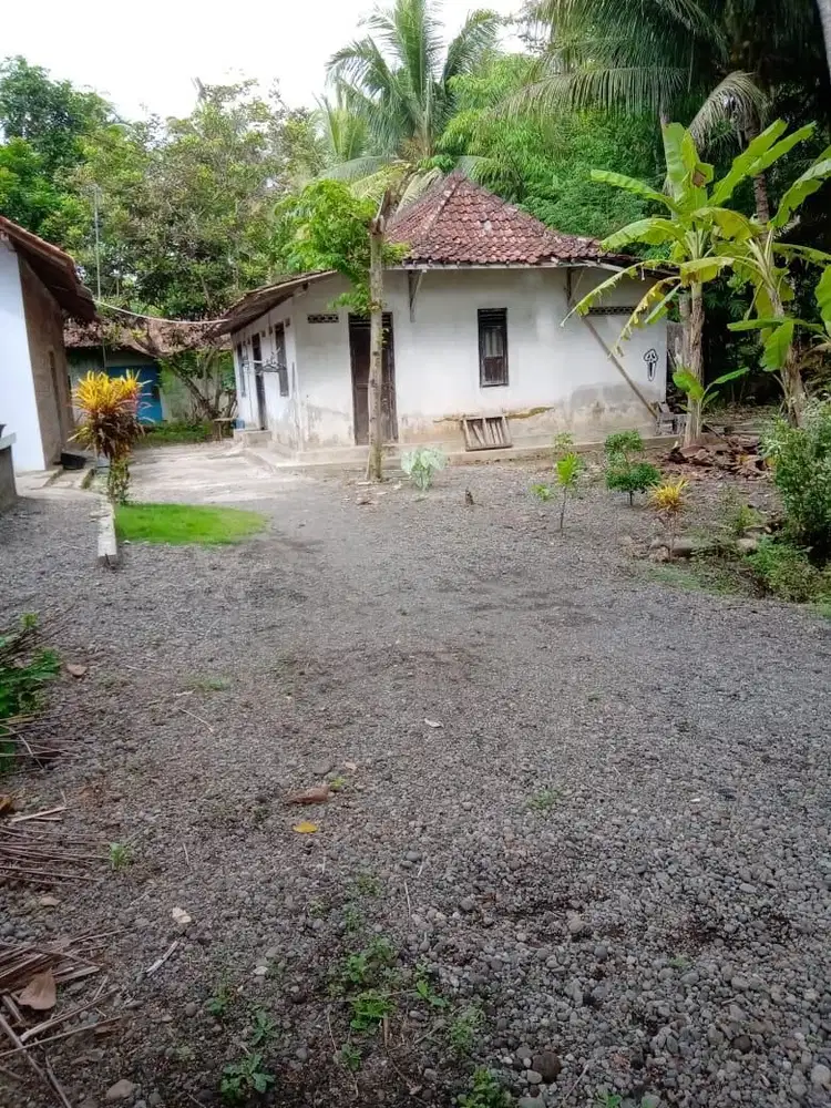 Dijual tanah pekarangan di kulonprogo YOGYAKRTA