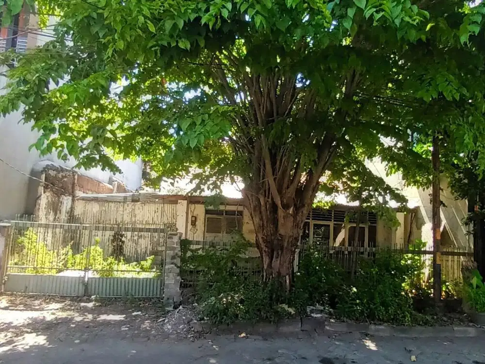 Rumah hitung tanah di gayungsari surabaya, dekat ketintang kebonsari jemursari ahmad yani jambangan margorejo
