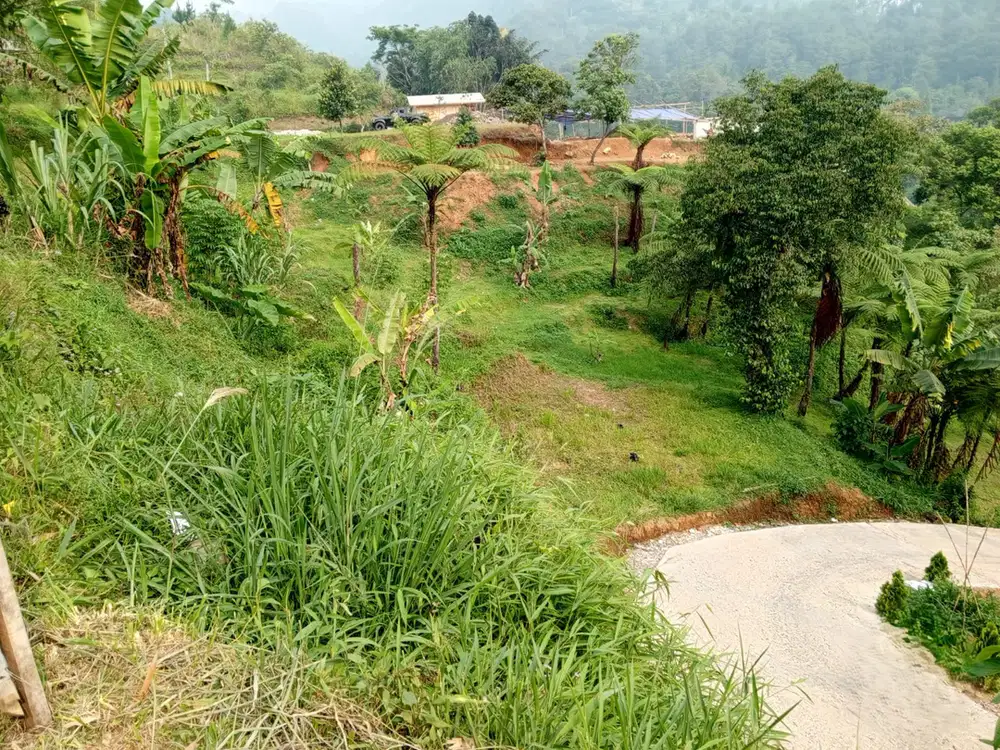 DIJUAL TANAH KOSONG KAWASAN MEGAMENDUNG BOGOR LOKASI MENARIK