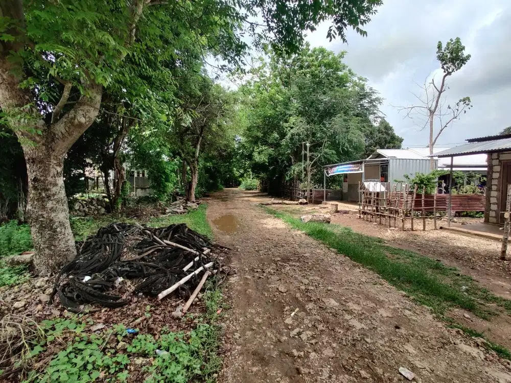 Dijual Tanah Kosong Di Penfui Timur Kupang NTT