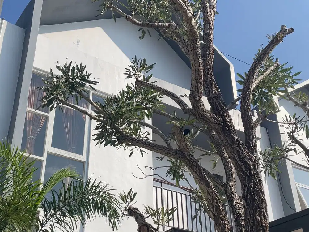 Pesona Mata Residence Rumah Konsep Villa Samping Malang Sky Land