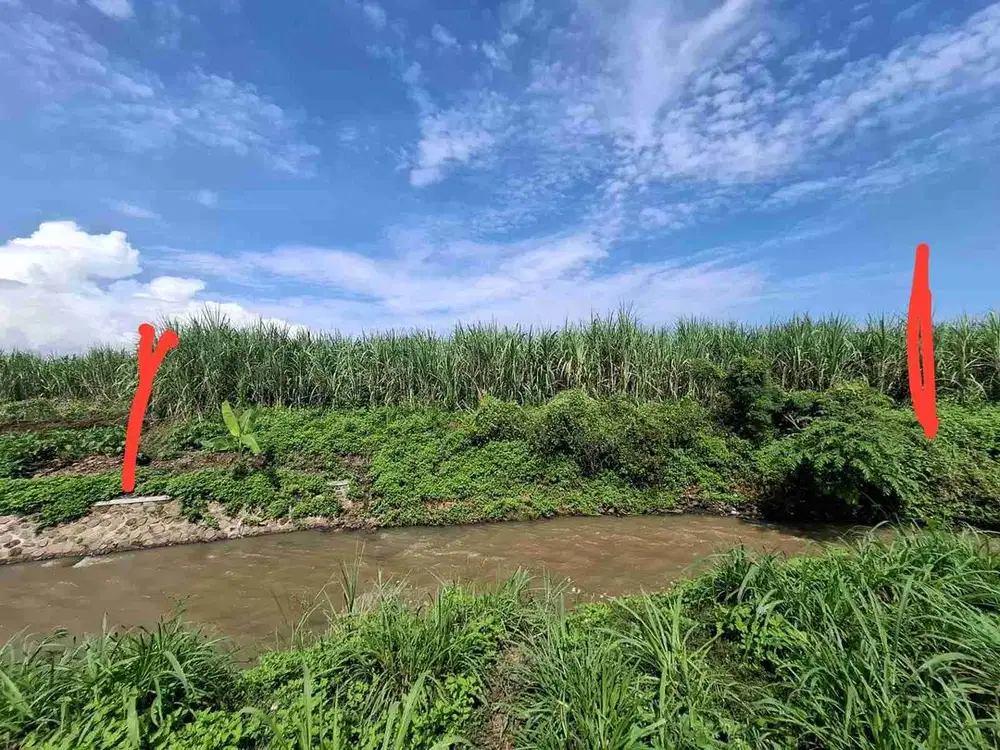 jual cepat tanah sawah komersil 0 jalan raya lokasi strategis