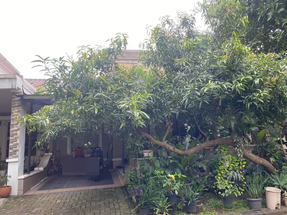 Di Jual Rumah Strategis di Citra Grand Cibubur TURUN HARGA