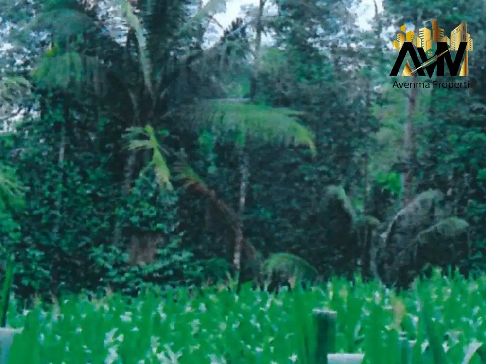 FOR SALE Tanah Perkebunan Sertifikat Legalitas SHM DI Jl. Tvri Kota Te