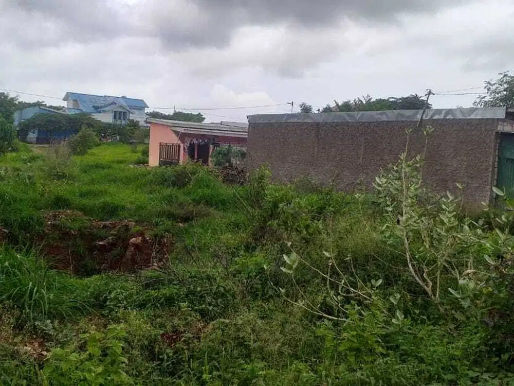 001 Dijual Tanah Di Depan Kampus Politeknik Kupang