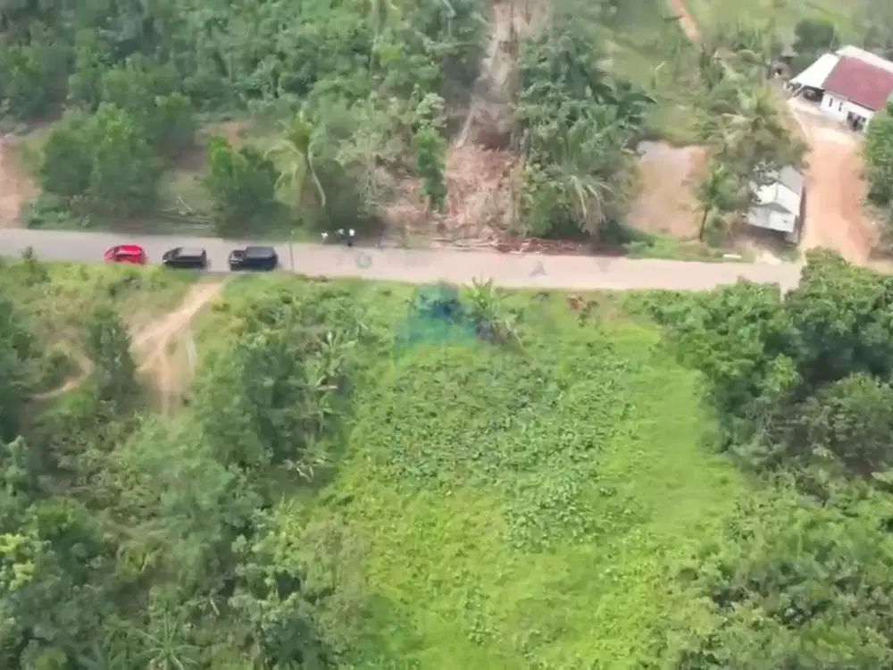 Jual Tanah di Jl Raya Gunung Anten, Cimarga - Rangkas Bitung, lebak