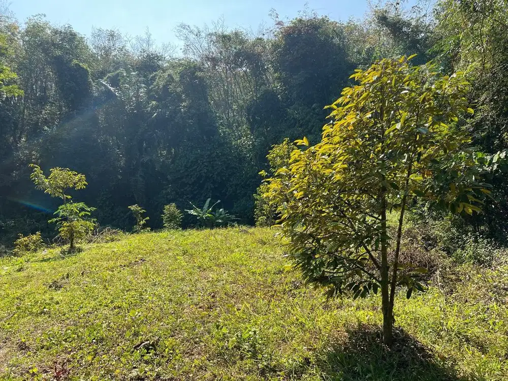 Tanah 1018m² Dekat Sungai Pegunungan Karanganyar