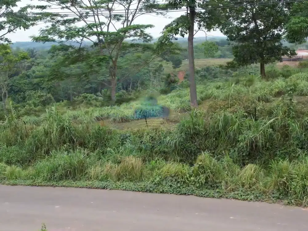 Jauh Tanah di GN Anten, Cimarga, Lebak - Banten