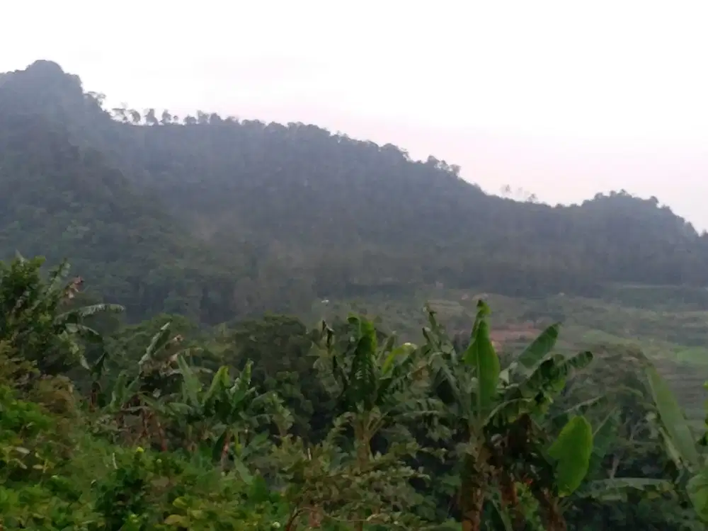 Tanah di jual NEGO Puncak Dua d View Perbukitan, Air Terjun, Mata air