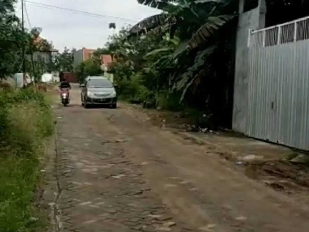 Gudang Driyirejo SHM