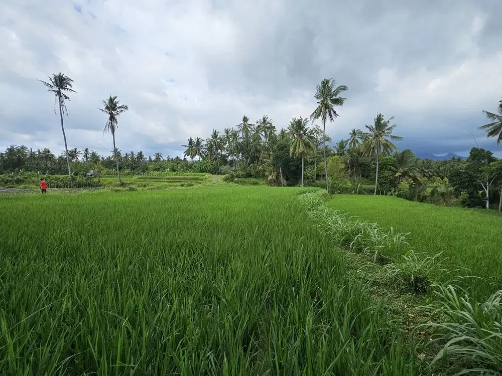 Tanah datar dekat dengan penlok bandara bali utara