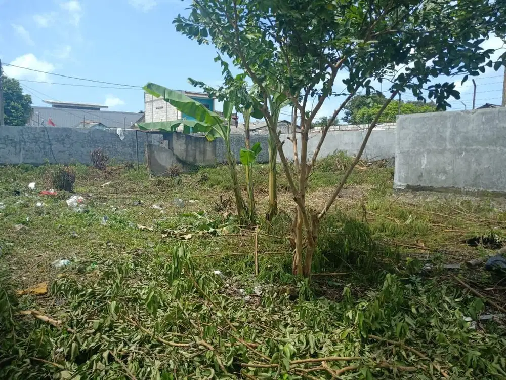 Tanah SHM 3 Kavling Luas 987 Di Kamal  Kalideres Jakarta Barat