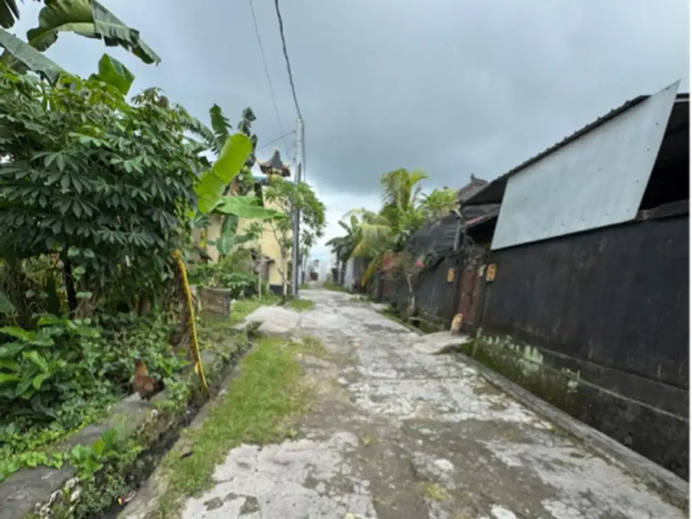 tanah Munggu dekat Canggu 1,8are