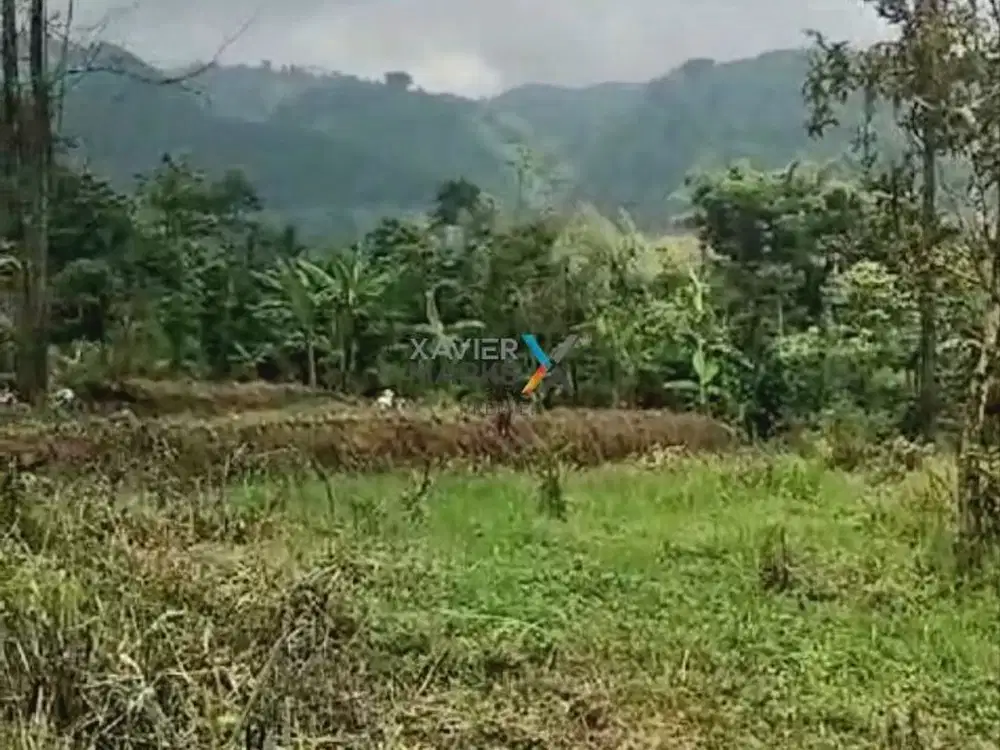 Dijual Tanah di Sukapura, Sapikerep Probolinggo