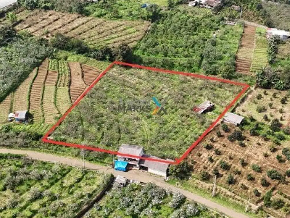 Dijual Tanah, Lahan Perkebunan di Selecta, Tulungrejo Bumiaji Batu