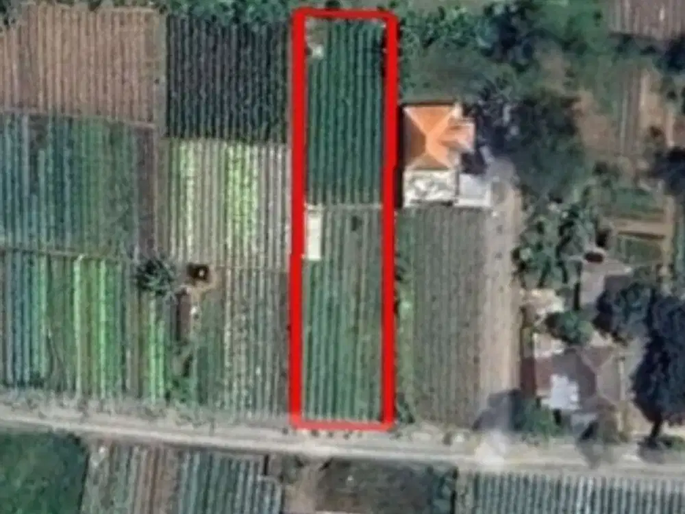 Tanah kebun zona residen cocok untuk investasi dan billa