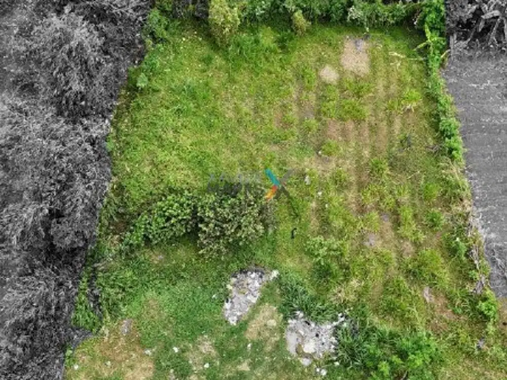 Dijual Tanah Siap Bangun di Jalan Bandulan, Pandanlandung Wagir Malang