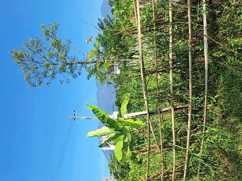 DIJUAL TNH DI PANDERMAN ATAS BATU,VIEW SNGT BGS  DI 800  MDPL BATU