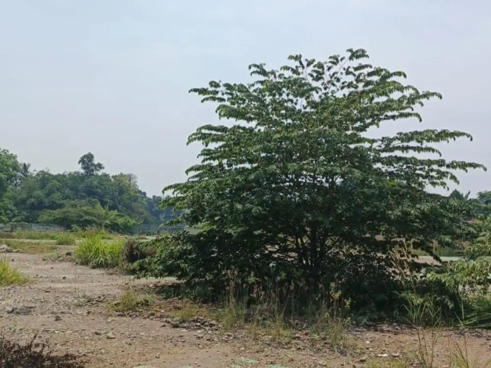 Tanah Dekat Tol Legok Masuk Kontainer Bisa Untuk Gudang dan Pabrik