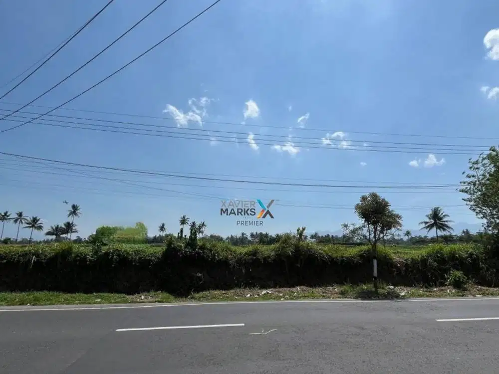 Dijual Tanah Pertanian Poros Jalan Aspal di Banjarejo, Pakis Malang