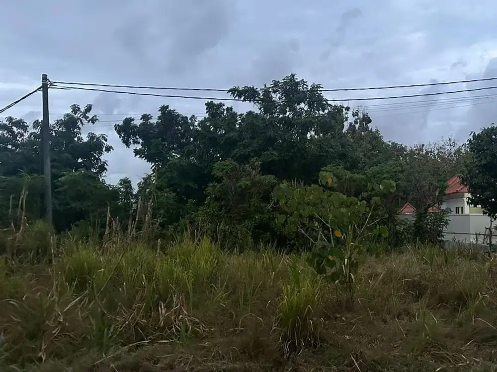 leasehold 30 Are land  Bingin Favorit Area Tourism