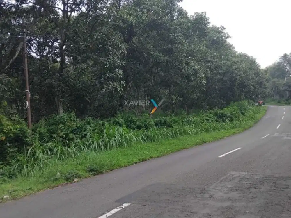 Dijual Tanah di Poros Jl. Raya Ngembal, Tutur Nongkojajar, Pasuruan