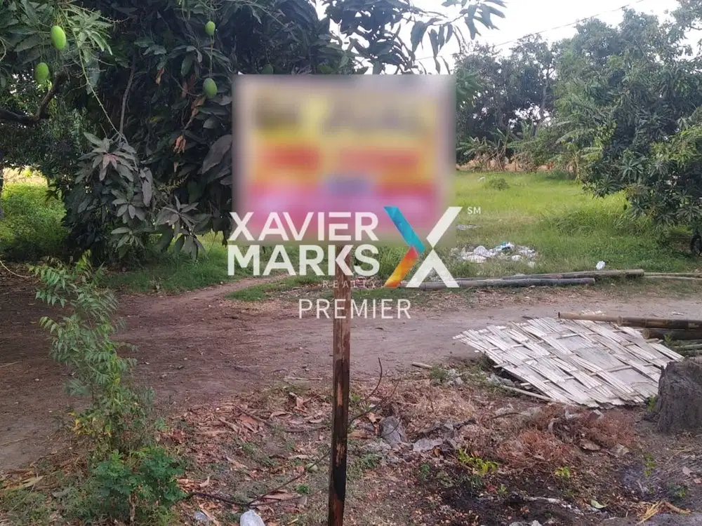 Dijual Tanah Poros Jalan Kesambirampak, Kapongan, Situbondo