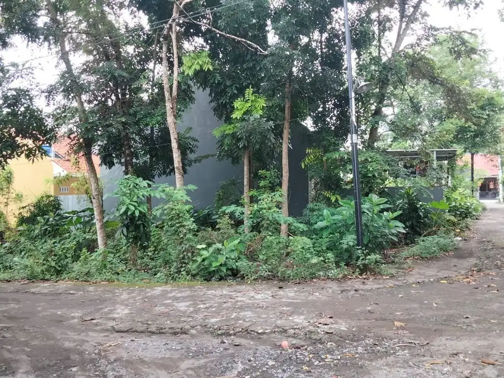 Jual tanah pekarangan dekat SD Model Maguwoharjo Ngempla sleman yogyak
