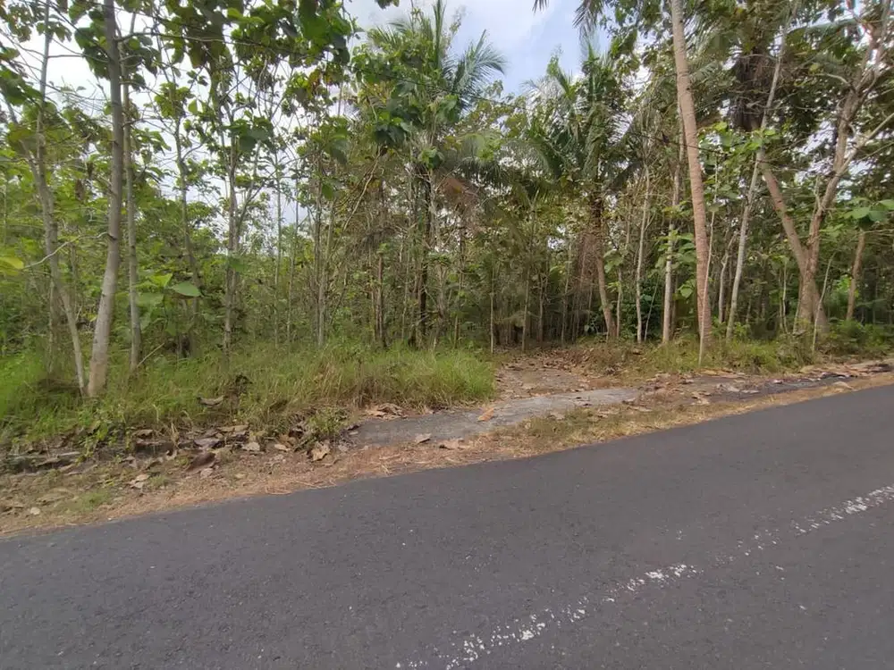 Tanah Dijual Luas 1898 Meter Persegi di Jalan Milir, Panjatan