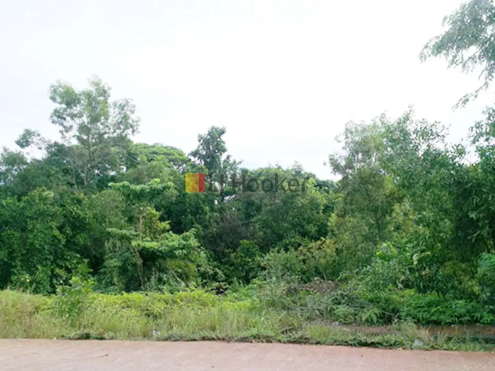 Tanah Di Tanjung Pinggir Sekupang