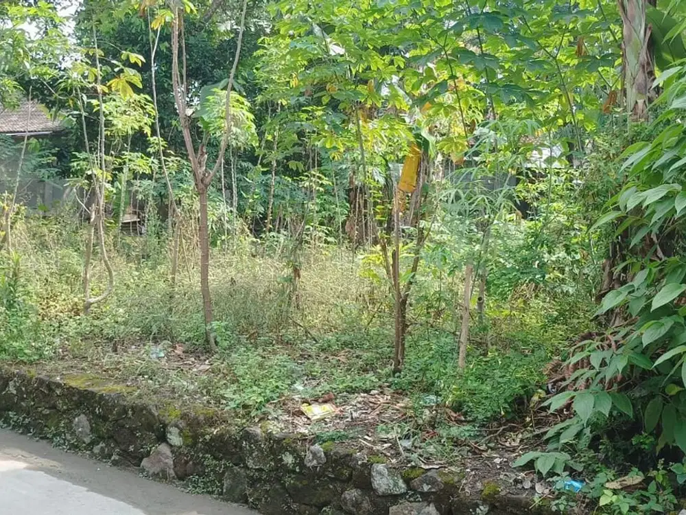 Tanah Luas 1165 Meter Persegi Lokasi Strategis Dekat RSUD Sleman