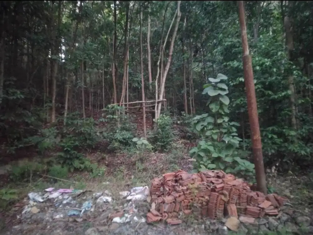 Tanah Luas 2000 Meter Persegi Lokasi Argorejo Sedayu Sleman