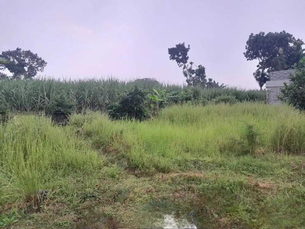 DIJUAL TANAH KAVLING daerah Talok - Turen Malang