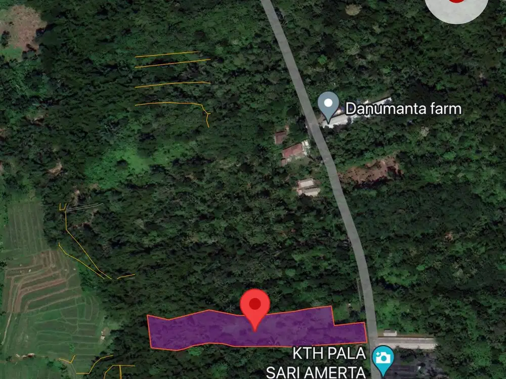 Tanah ekowisata dan perternakan penebel tabanan