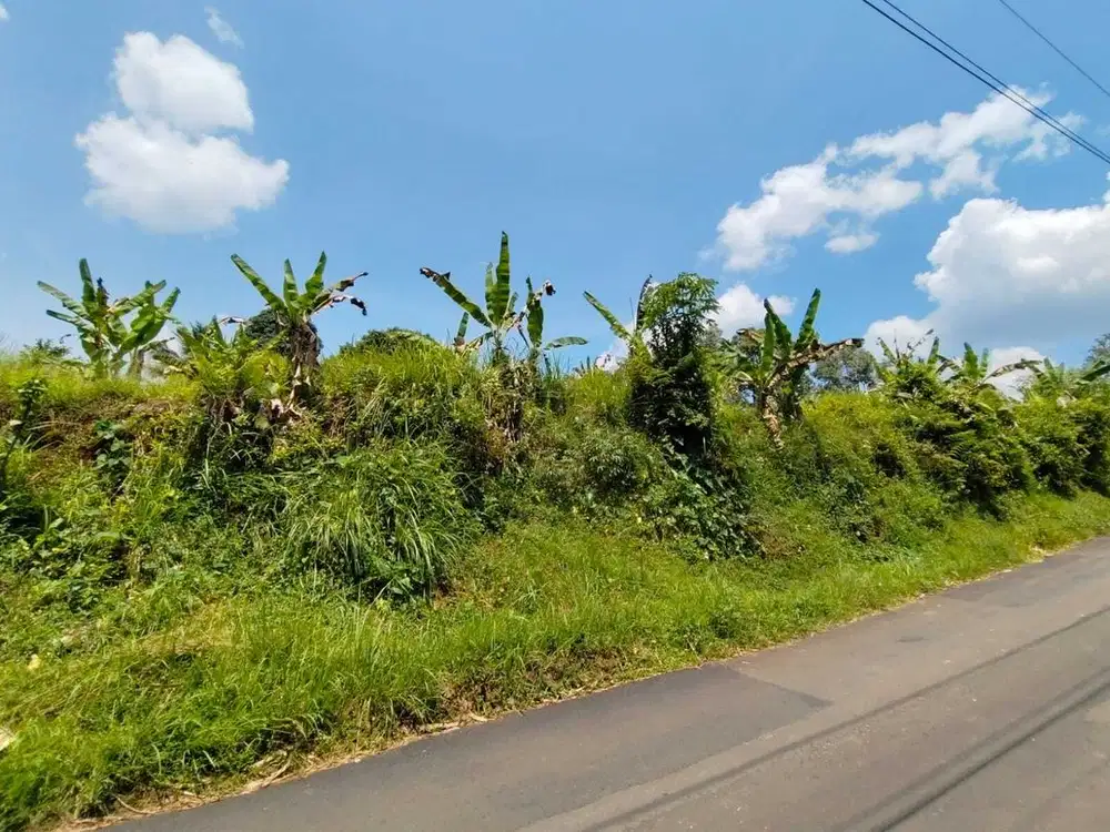 Tanah Murah di Pinggir Jalan Raya Sadeng Bogor