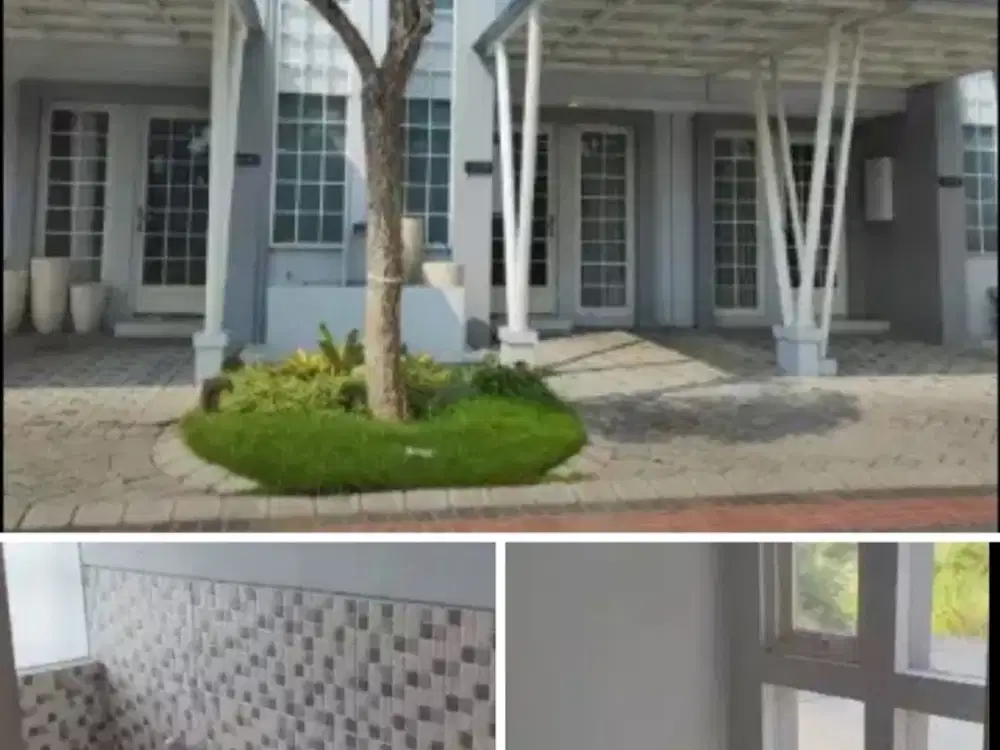 barang langka bisa 1 tahun disewakan queensland grand pakuwon