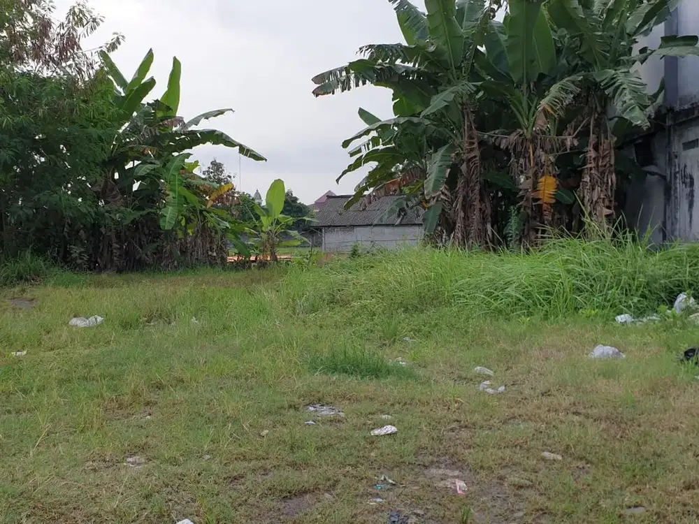 Tanah Luas 650 Meter Persegi Lokasi Strategis di Sedayu Bantul