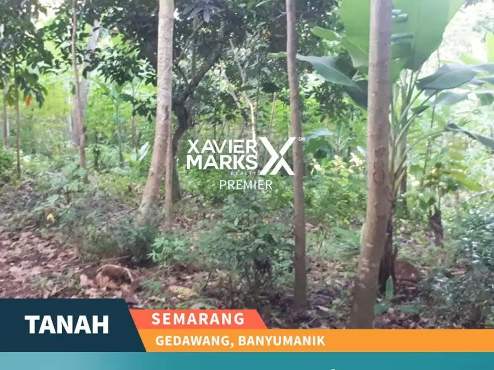 Dijual Tanah Di Gedawang Banyumanik Semarang