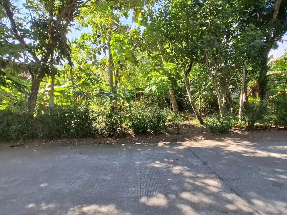 Tanah Pekarangan Luas Lokasi Berada di Daerah Bambang Lipuro Bantul