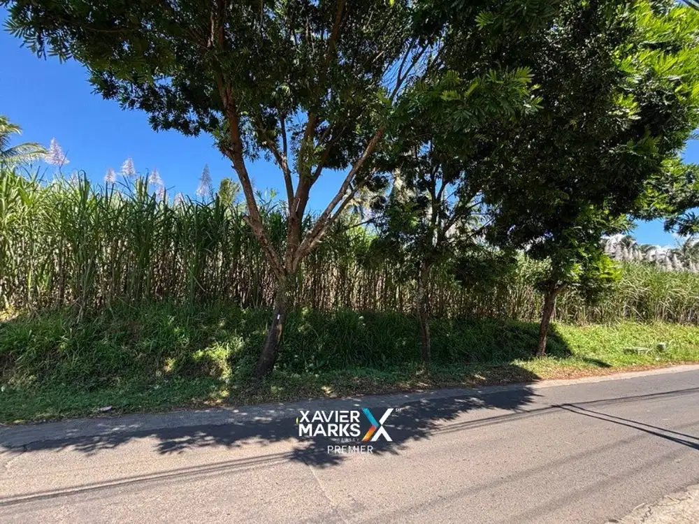 V1 Dijual Tanah Luas Posisi Hook Strategis di Dampit Malang Selatan