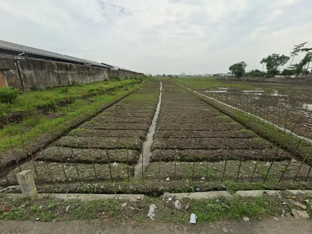 Tanah 3000m² SHM Pakisaji Dekat Bonderland & Juragan 99 Dijual