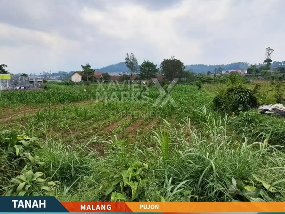 DIJUAL TANAH KEBON di Raya Pujon - Cocok Komersial