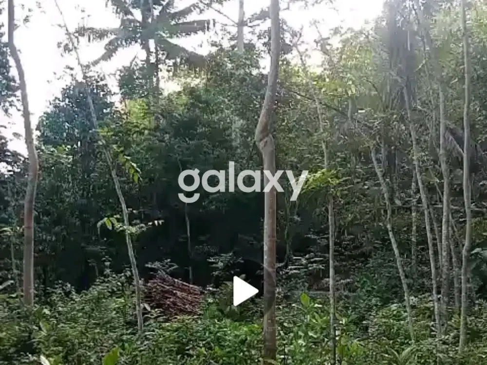 DIJUAL Tanah Tegalan - ER