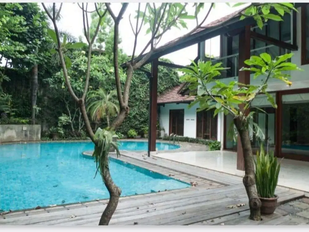 Rumah Kemang Kolam Renang dan Taman Besar di Jalan Benda Dalam  Jaksel