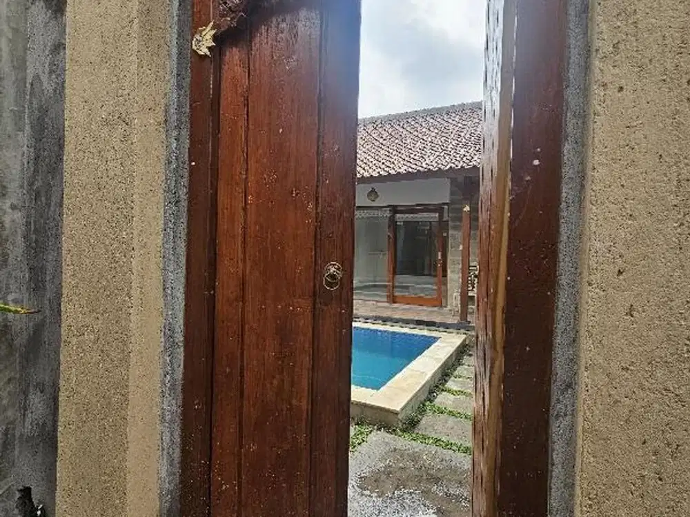 villa for rent brand new in padonan canggu