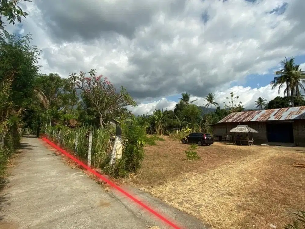 dijual murah tanah datar cocok untuk kebun anggur atau  rumah subsidi