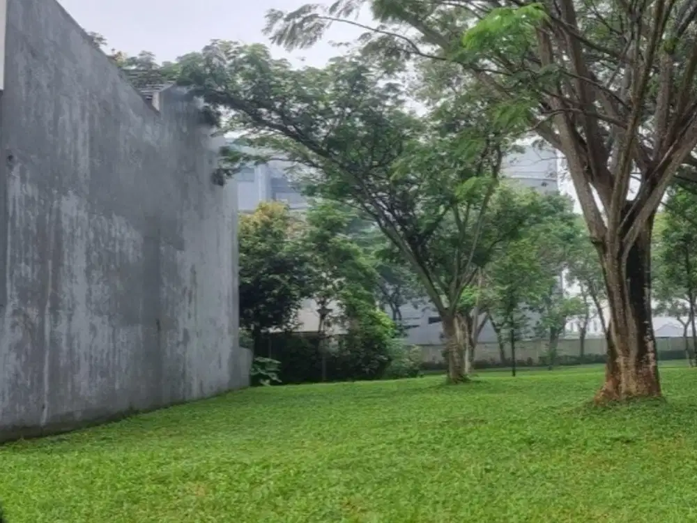 Kavling Cajuputi BSD City ( BY)