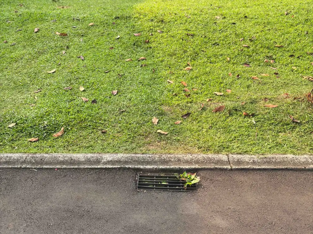 Kavling Badan Murah Kencana Loka 2 Extension BSD