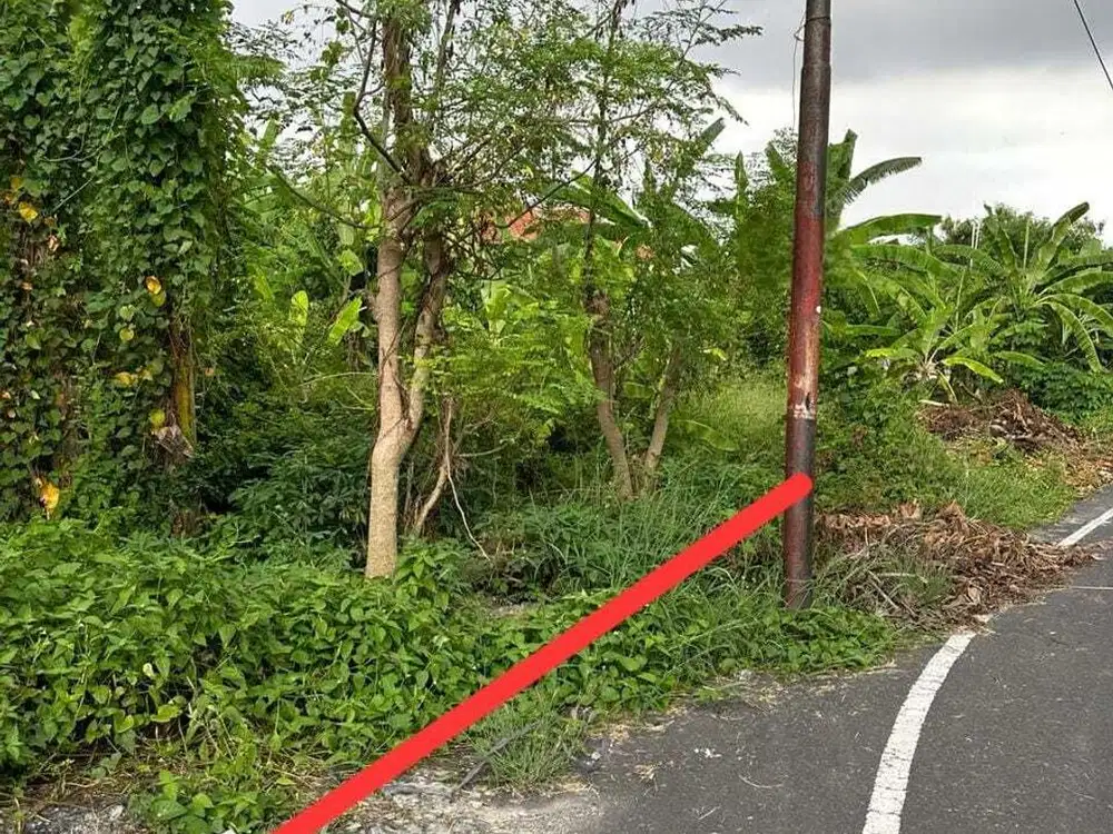 Land near sunset road seminyak