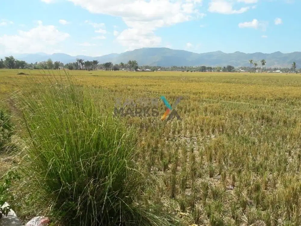 Dijual Tanah, Lahan di Jalan Kesehatan, Desa Toto Utara, Bonebolango